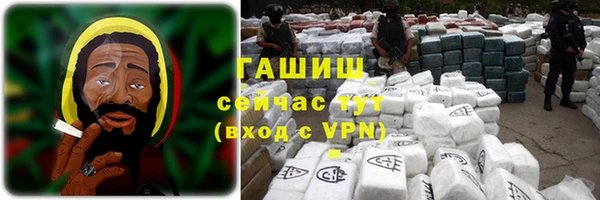 спиды Богородицк