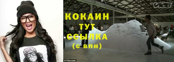 стафф Богданович