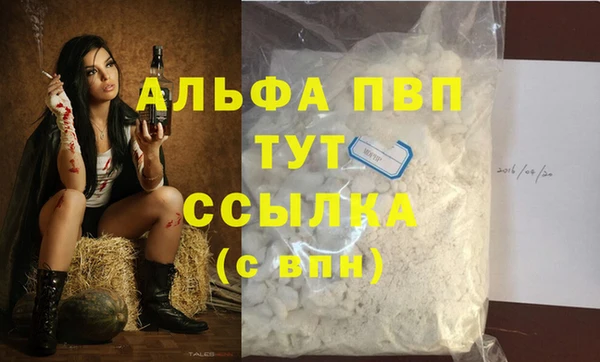 спиды Богородицк