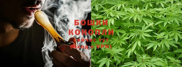 PSILOCYBIN Балахна