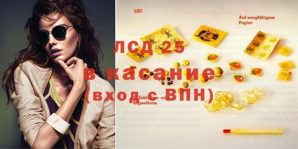 стафф Богданович