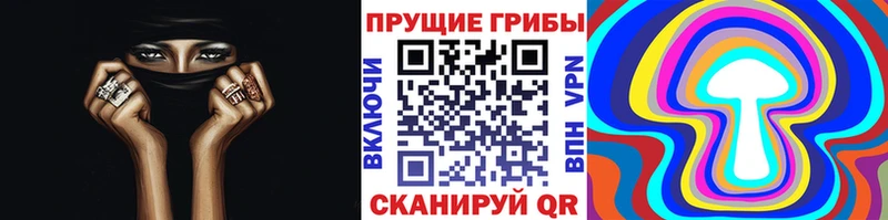 Псилоцибиновые грибы Cubensis  Магас 